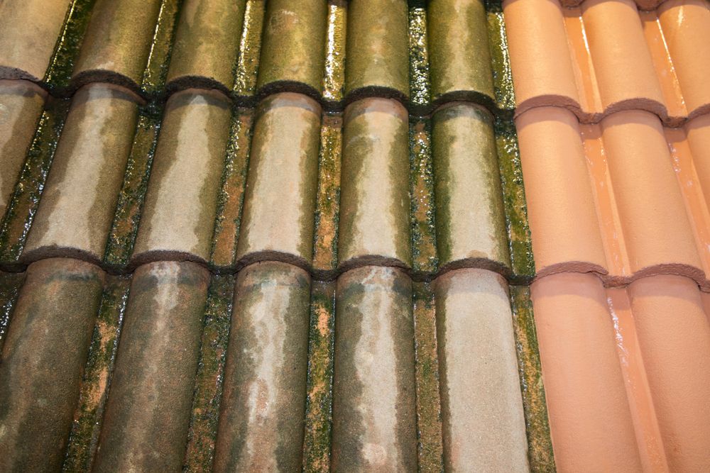 Oud vieze dakpannen laten inspecteren in Lent